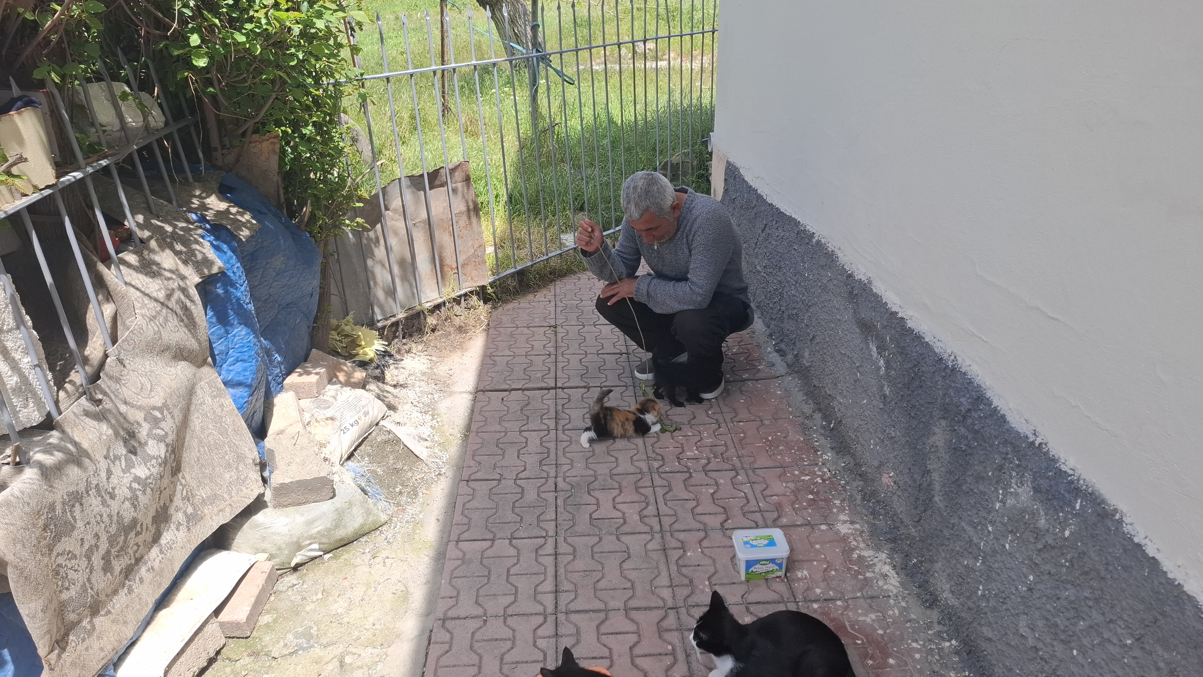 Kısıtlı İmkanlarına Rağmen Sokak Hayvanlarının "Hıdır Ağa"sı Oldu: Destek Bekliyor